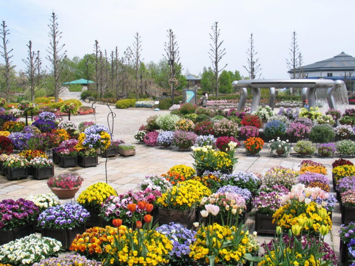 草津市立水生植物公園みずの森